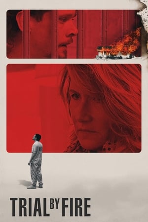 Trial by Fire 2018 Hindi Dual Audio | Hindi Dubbed Movie Web-DL 400MB